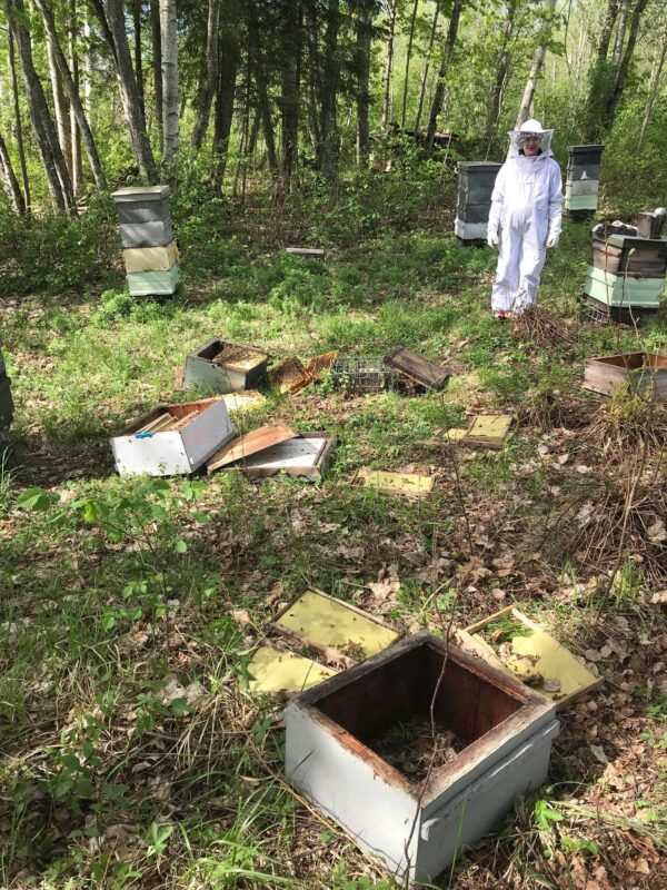Beekeeping equipment
