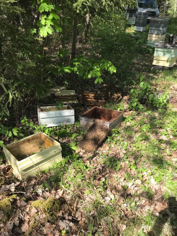 Beekeeping equipment